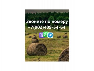 Сдается 2 комнатная квартира с центральным отоплением чистый подъезд на длительный срок фото 3